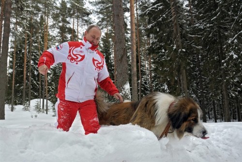 普京帶著寵物犬在雪地里散步。