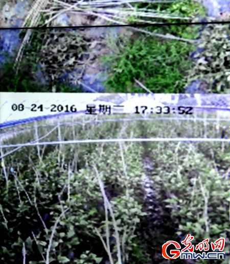 【網(wǎng)絡媒體走轉改】搭上“互聯(lián)網(wǎng)+”快車 江西革命老區(qū)煥發(fā)新光彩