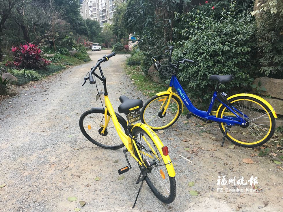 共享單車:隨停隨放≠亂停亂放