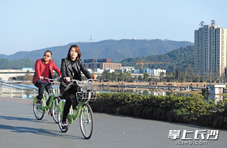 梅溪湖畔，市民們騎著共享單車賞景。長沙晚報記者 鄒麟 攝