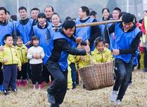 （社會(huì)）（1）稻田游戲樂淘淘