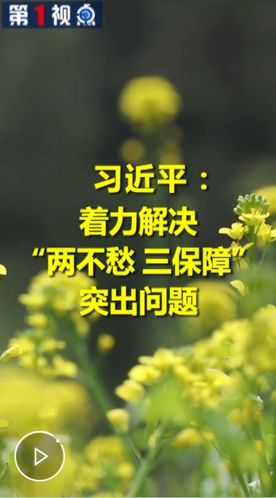 https://vodpub2.v.news.cn/original/20190417/1bdbda81290342e7b6be27cd533d40e2.mp4?400
