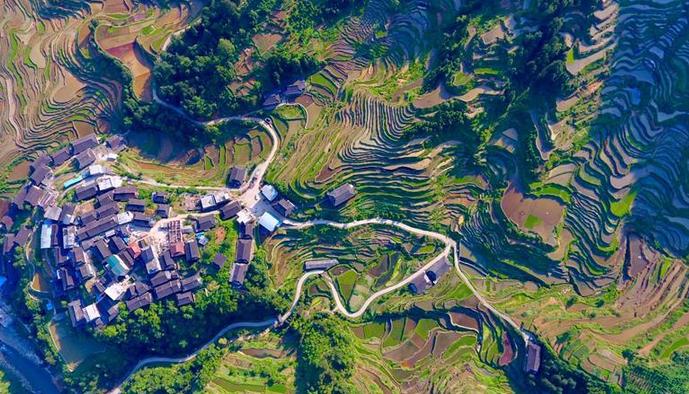 （環(huán)境）（5）苗山梯田美如畫(huà)