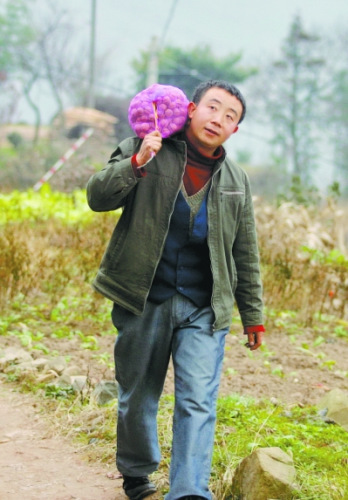 張義波行走在家鄉(xiāng)熟悉的田埂上。 
