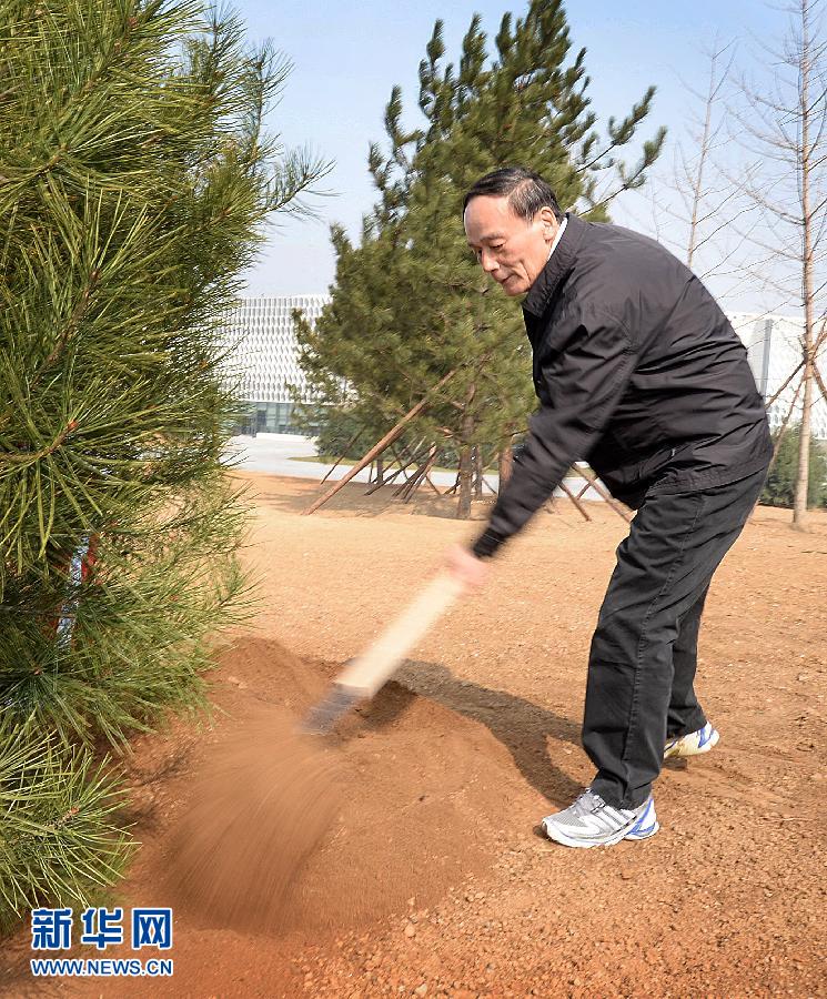 （XHDW）（5）黨和國家領(lǐng)導人參加首都義務植樹活動