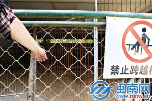 漳州3歲童動(dòng)物園看野豬小指被吞食 園方:愿賠償