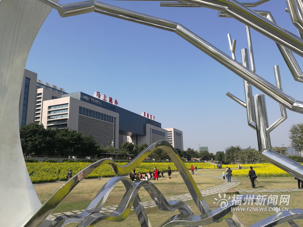 “福州藍(lán)”下，福州公園成金色花海