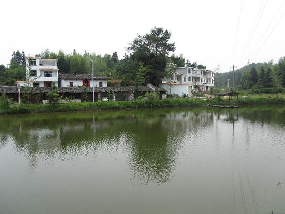 南坑村村容整潔，環(huán)境優(yōu)美。
